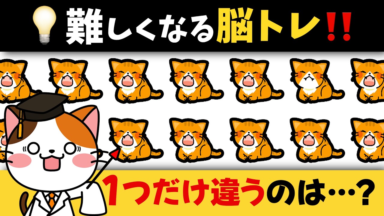 全問正解率1%未満の難問⚠️猫ちゃんがテーマの難しくなる脳トレ動画💡