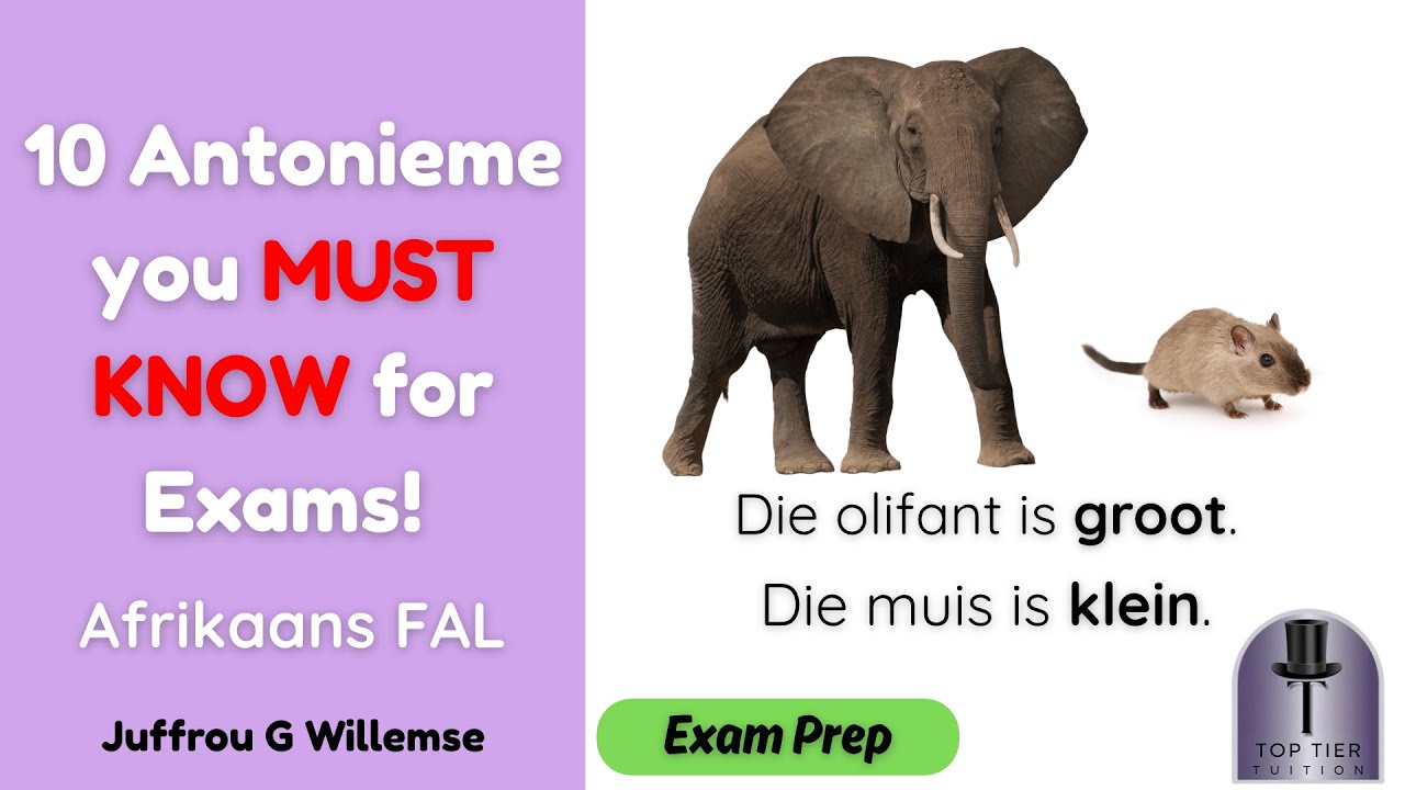 10 MOST COMMON “Antonieme” in Exams! + Quiz | Must-know for Afrikaans FAL Learners