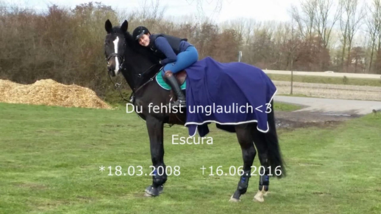 Ich werde dich nie vergessen / Escura 1.Todestag