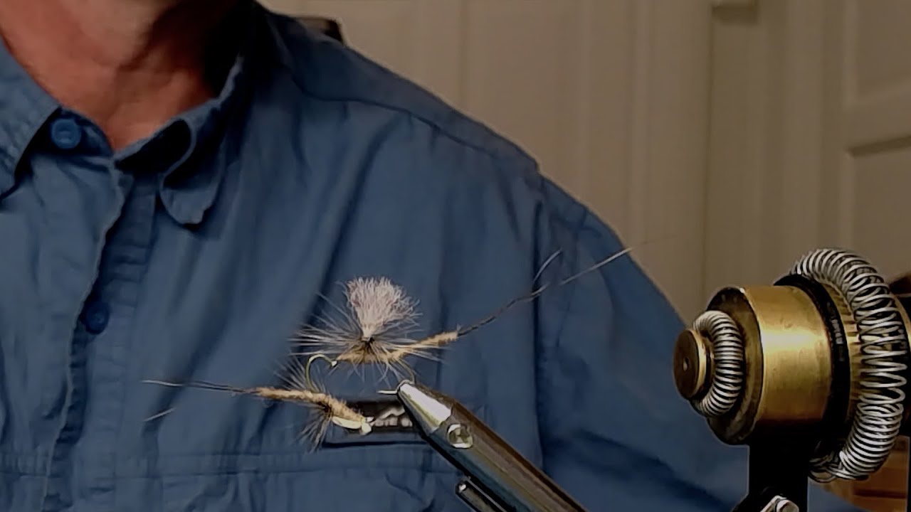 Vulgata, Vulgata Mayfly