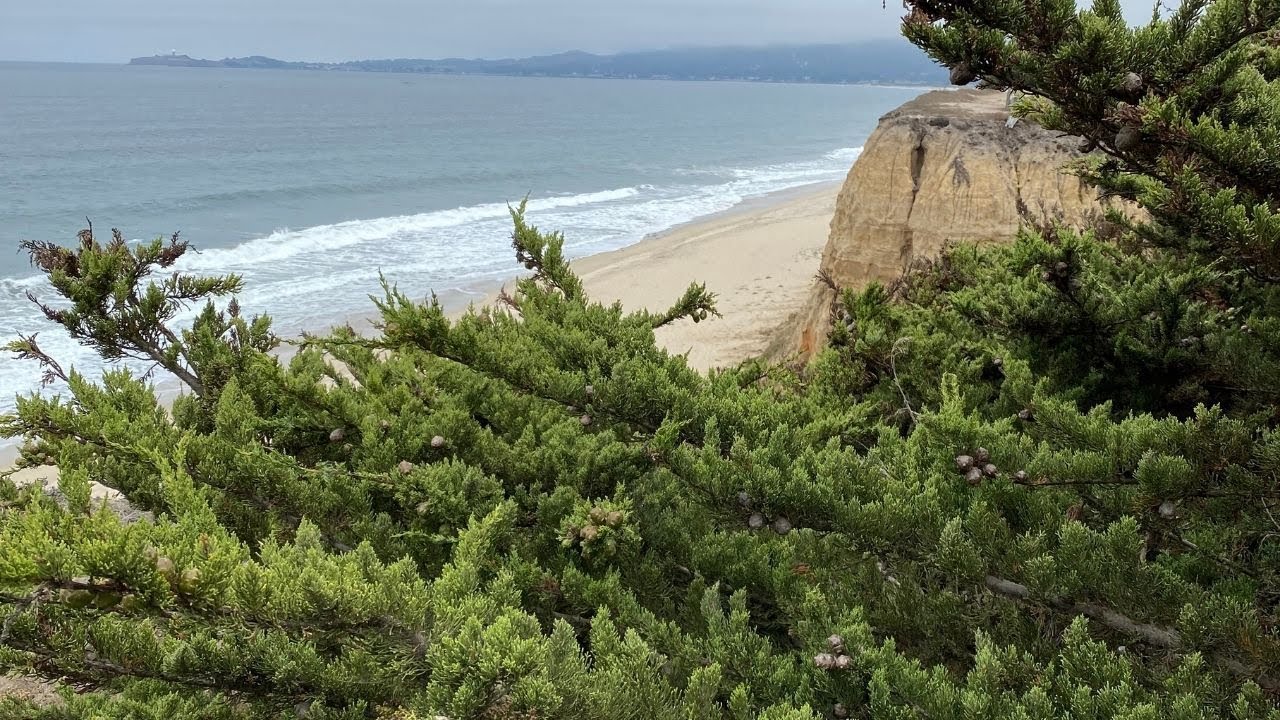 Day Trip (Short Clip): San Francisco to Half Moon Bay