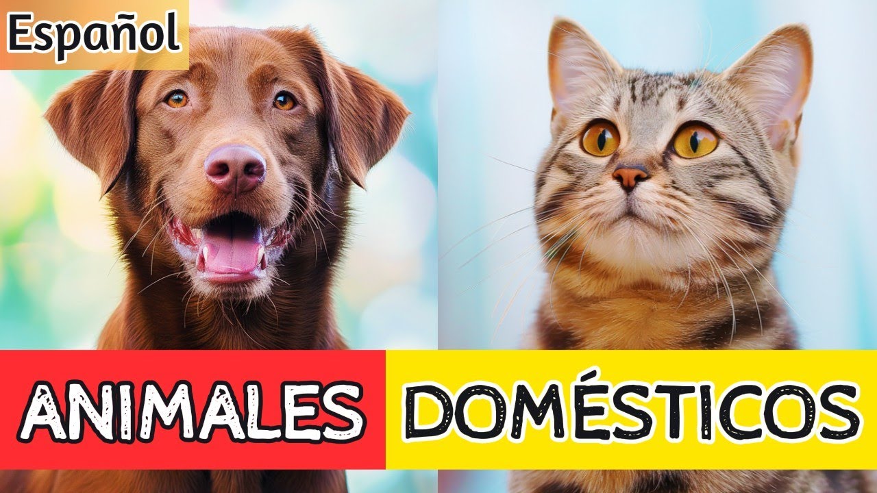 &iexcl;Vean Esto con sus Ni&ntilde;os! Aprendiendo los Animales Dom&eacute;sticos! 🐾🔊