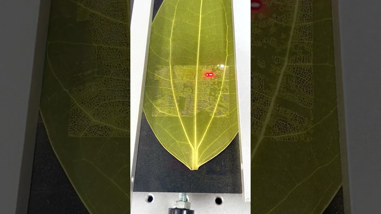 Leaf photo magicOur lasermarker nails it!