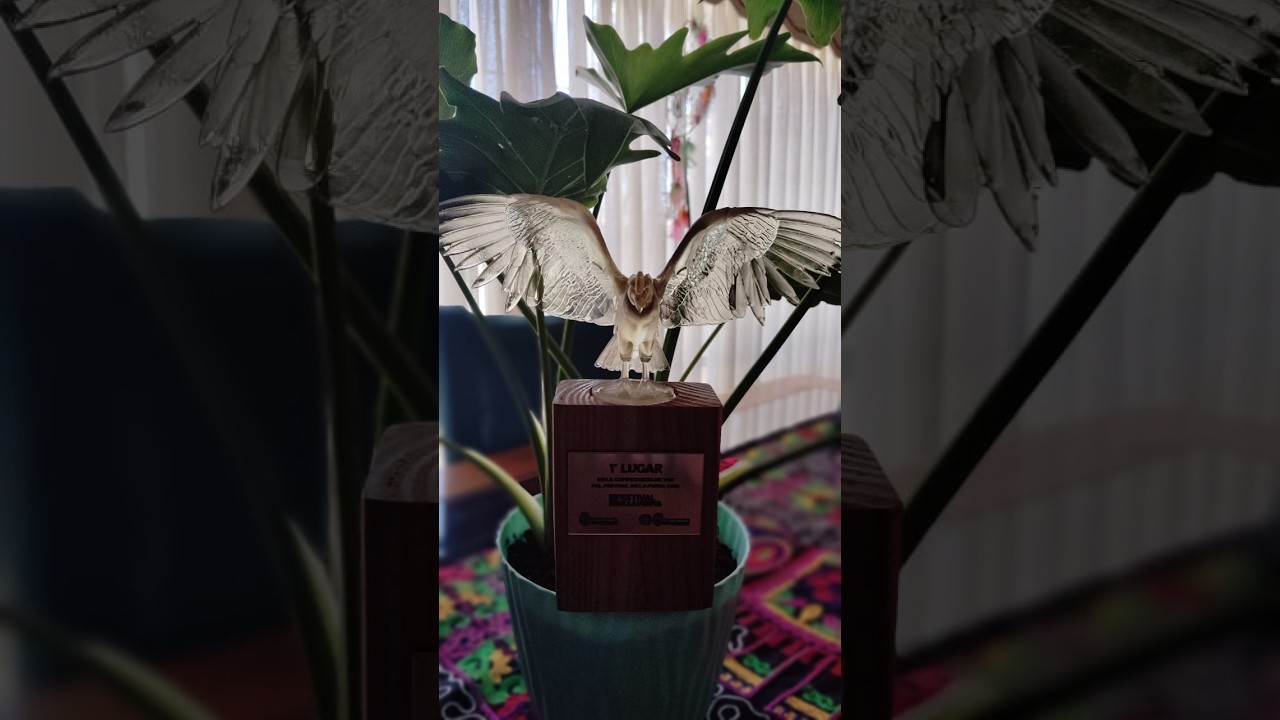 🏆✨ Claudia Castro – Ganadora Festival de la Punta 2026 ✨🏆