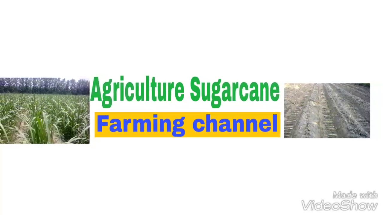 channel in FARMING GYAN CHANNEL  add Agriculture best in information