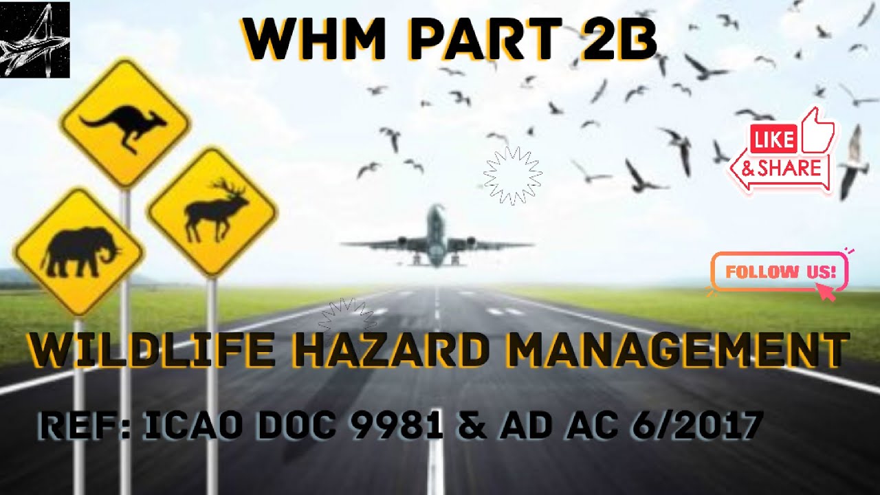 Wildlife Hazard Management (WHM PART 2B) | Ref: ICAO Doc 9981, AD AC 6/2017, ICAO Doc 9137.