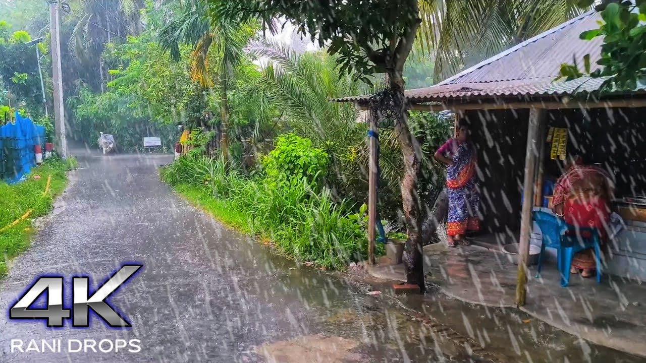 Rain in the village environment. Rain Sound. #rain #reels #fullvideo #shorts #rainsound #raining