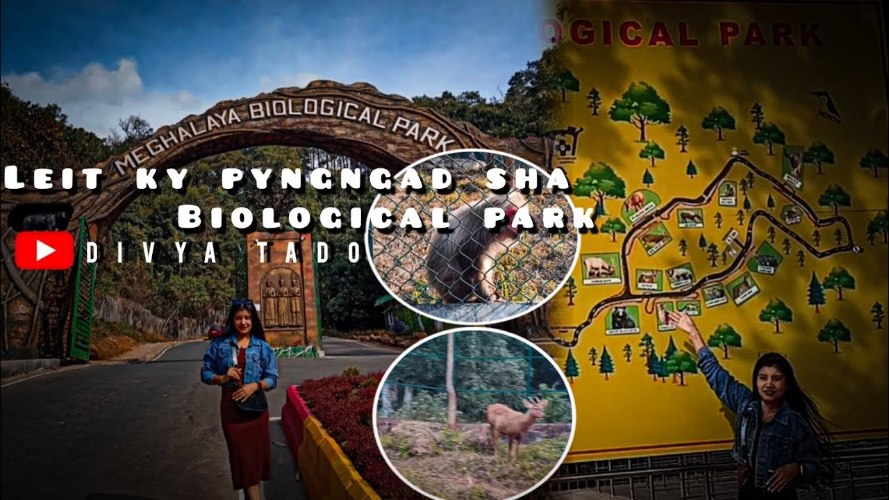 Meghalaya Biological park || Ribhoi || Umtrew || divya vlogs #khasi #animals #park