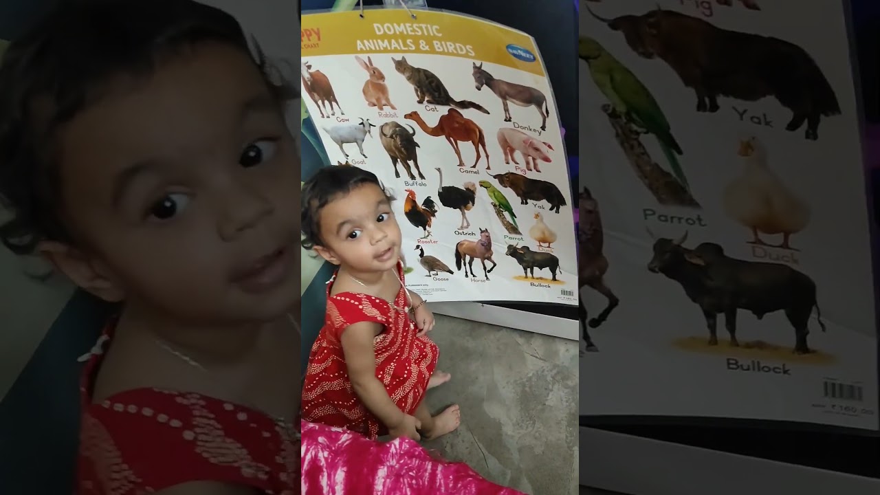Identification of animals by 1.5 years old baby#subscribe #babyvideo #babylearningvideo #animals