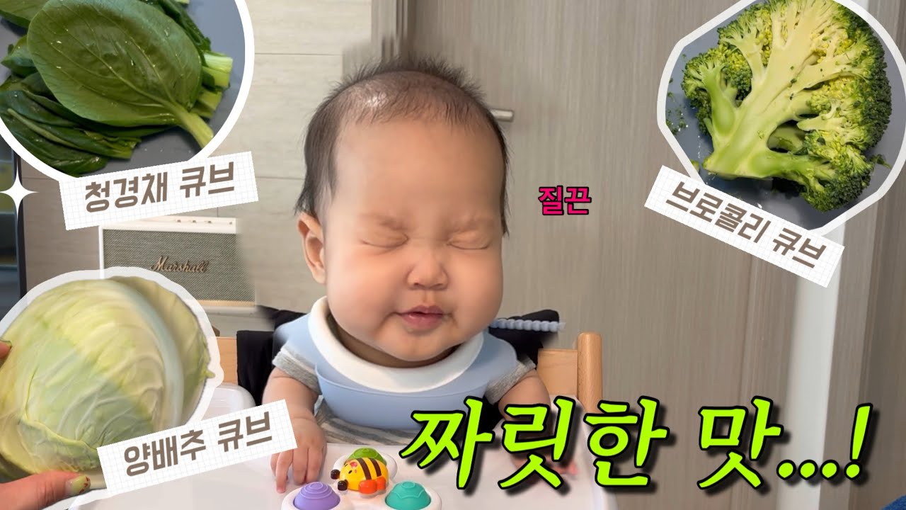 초기이유식 채소 3종 큐브 만들기 (청경채·브로콜리·양배추) | 잘 먹는 아기 반응