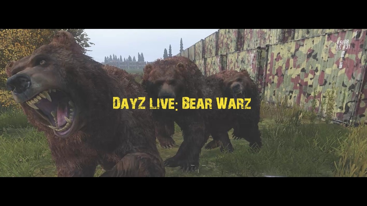 DayZ Live:  Bear Warz