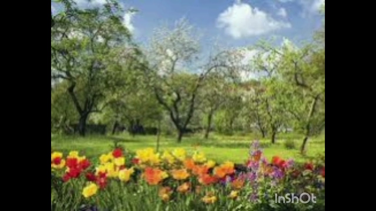 Spring '. Guitar:  Shamim Ehasan