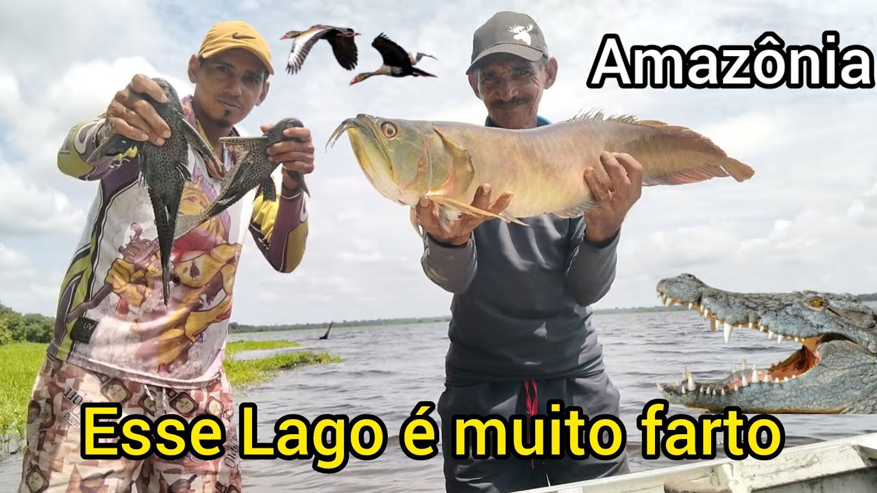Pescaria selvagem em um lago isolado no coração da Amazônia lago do batata 