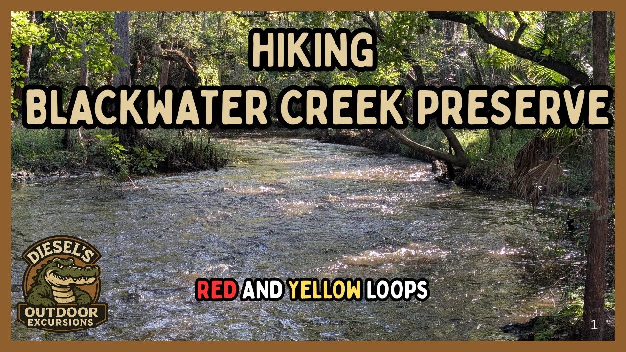 Hiking both loops at Blackwater Creek Preserve in Plant City, Florida