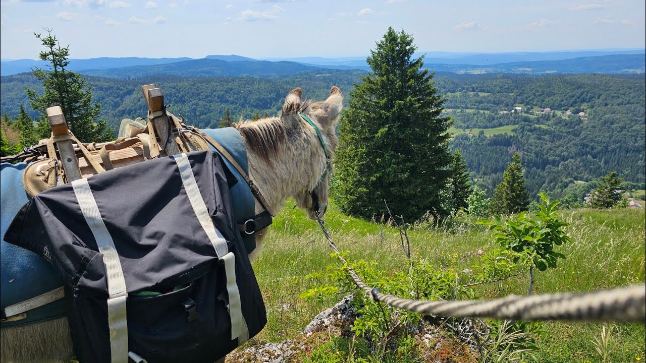 3 Jours avec un Âne dans le Jura