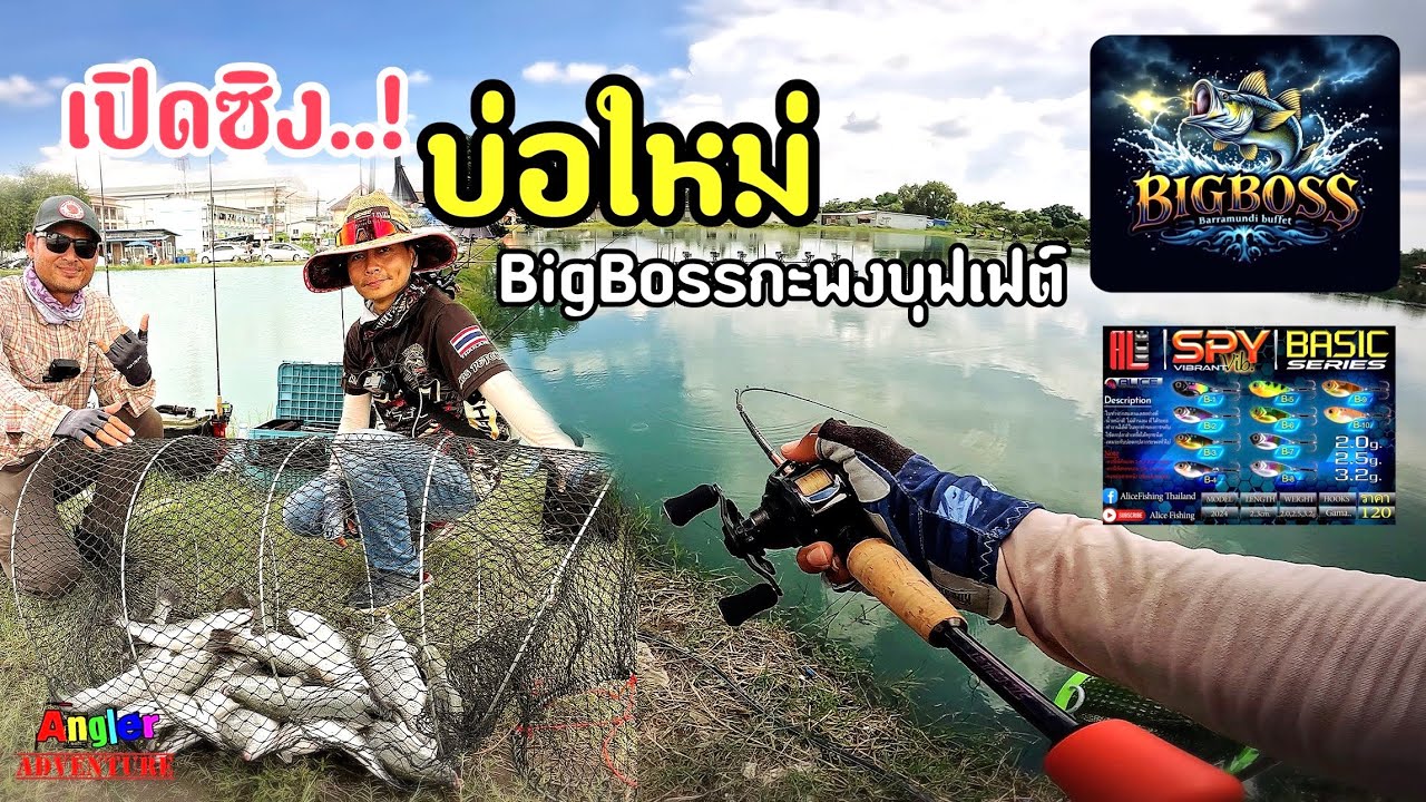 เปิดซิง..! บ่อใหม่ BigBossกะพงบุฟเฟต์ กระดี่ Spy Vib ไว้ใจได้เสมอ #fishing #ตกปลากระพง 