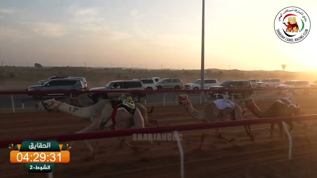 ميــدان الذيد - ش 2 الفطامين 13/02/2026 ناصي لـ سلطان علي سيف بني كتب. التوقيت: 6:03:78