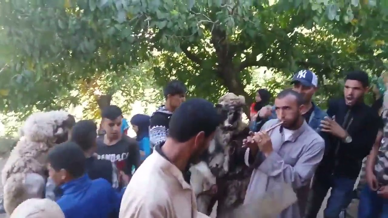 بالماون أسيف الحلو(2)