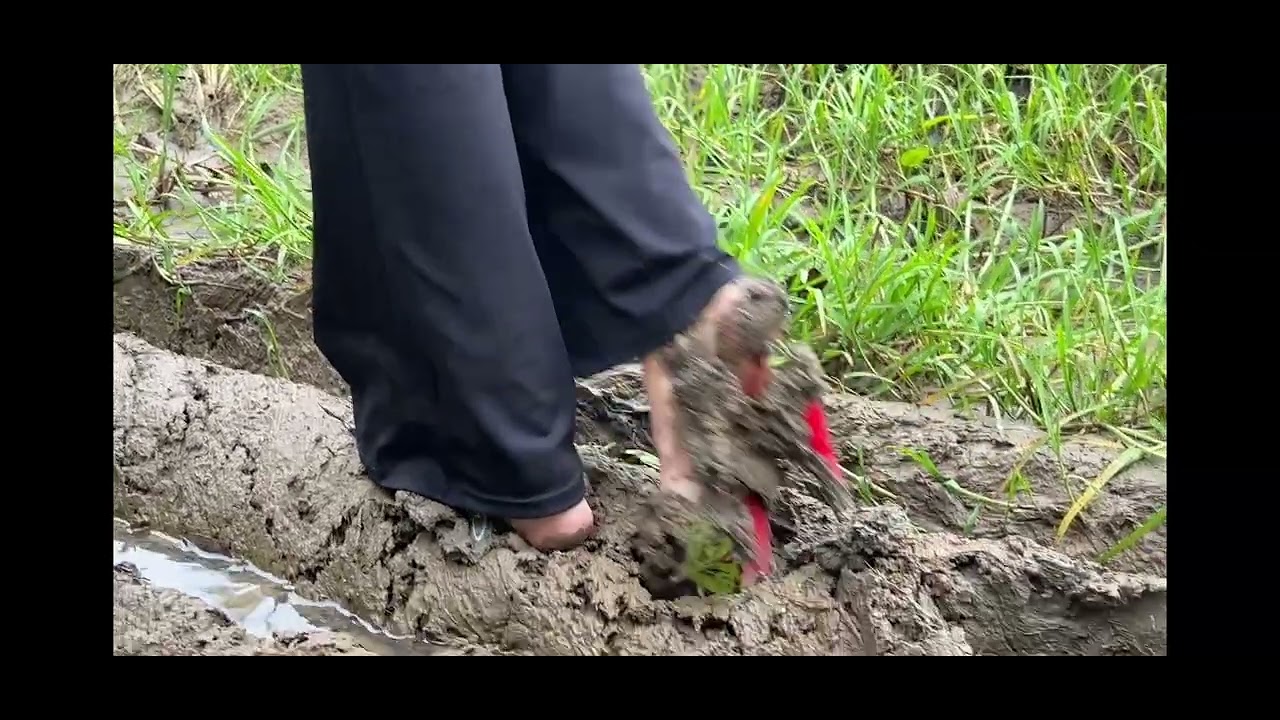 Extremely high heels, crush shoes, abuse high heels, open toes, dirty toes, muddy shoes, messy shoes