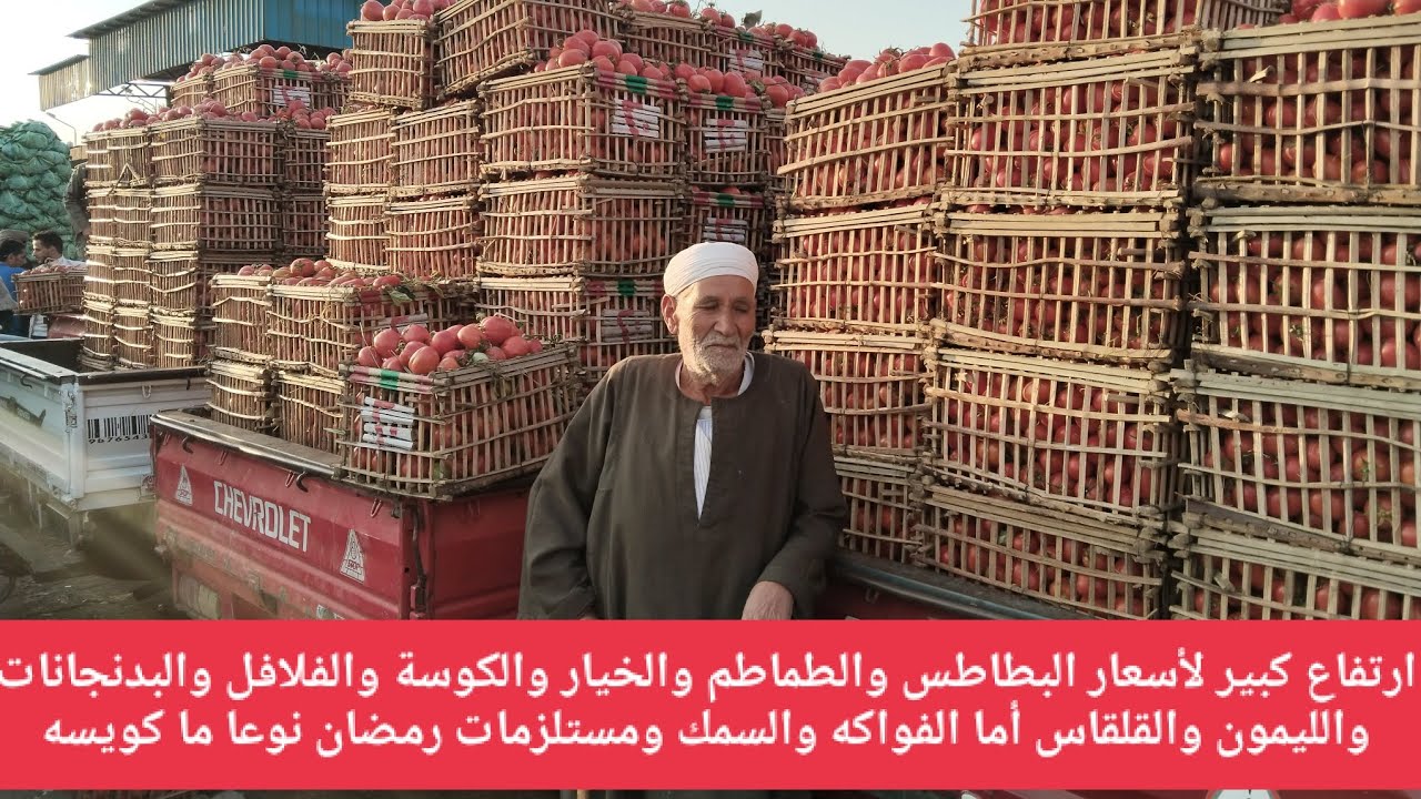 ارتفاع كبير لأسعار البطاطس وطماطم والخيار والكوسة والفلافل والبدنجانات والليمون والقلقاس أما الفواكه