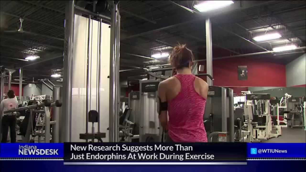 New Research: Endorphins May Not Explain 'Exercise High'