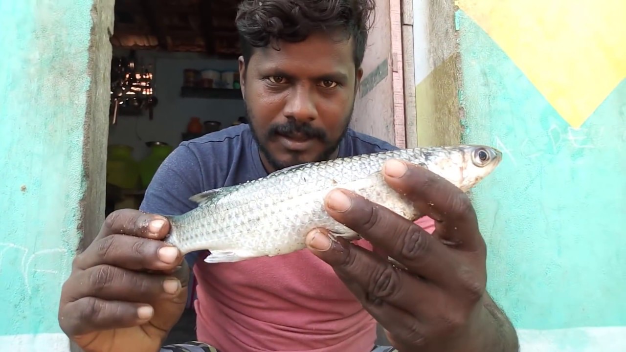 நல்ல மீன் எது கெட்டு போன மீன் எதுணு கன்டுபிடிப்பது எப்படி