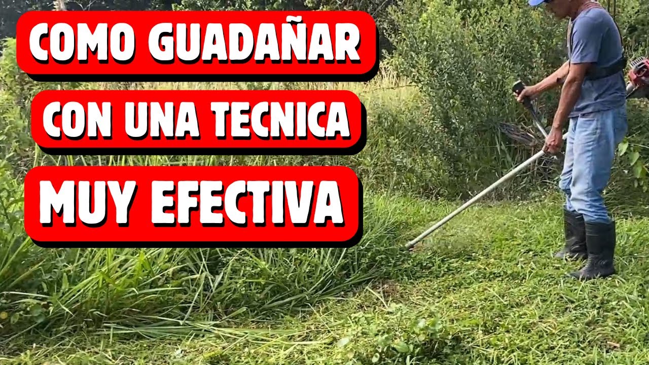 COMO GUADAÑAR CON UNA TECNICA MUY EFECTIVA