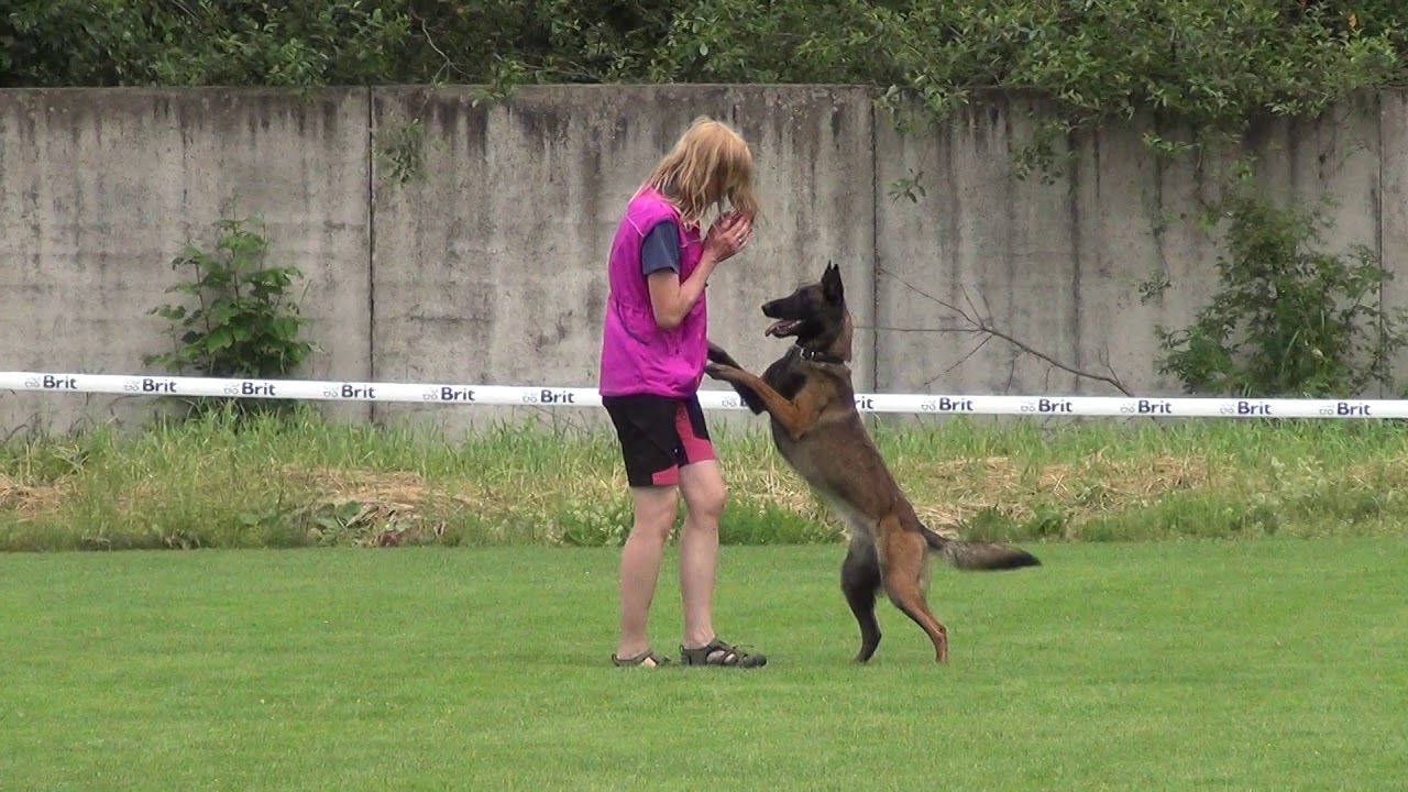 Елена Мурашова и малинуа Zett.