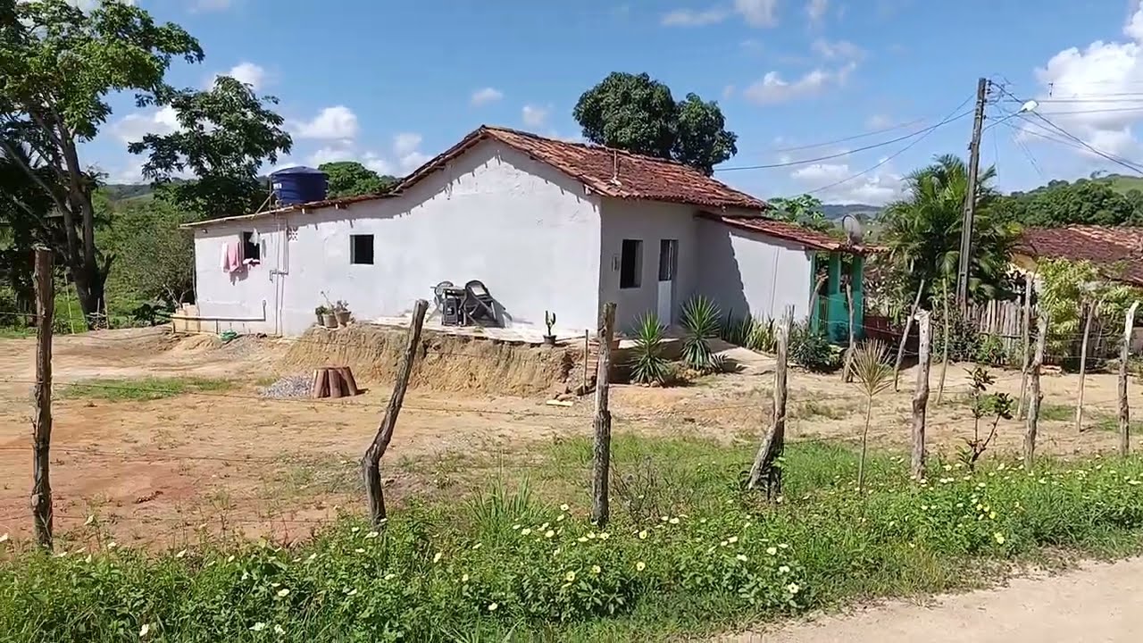 SITIO ALEGRE DE CATENDE CASSIANO OFICIAL 8141