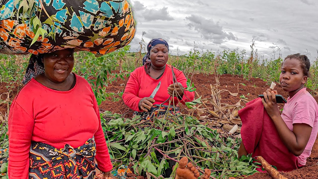 O que Cultivamos em Moçambique - Meu Compromisso com a Terra