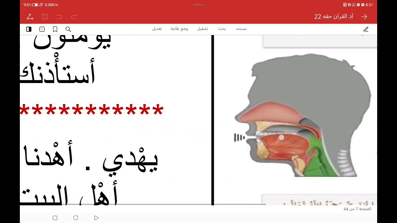 مخرج الحلق الهمزة والهاء احمد سليمان الخطاط العراق 