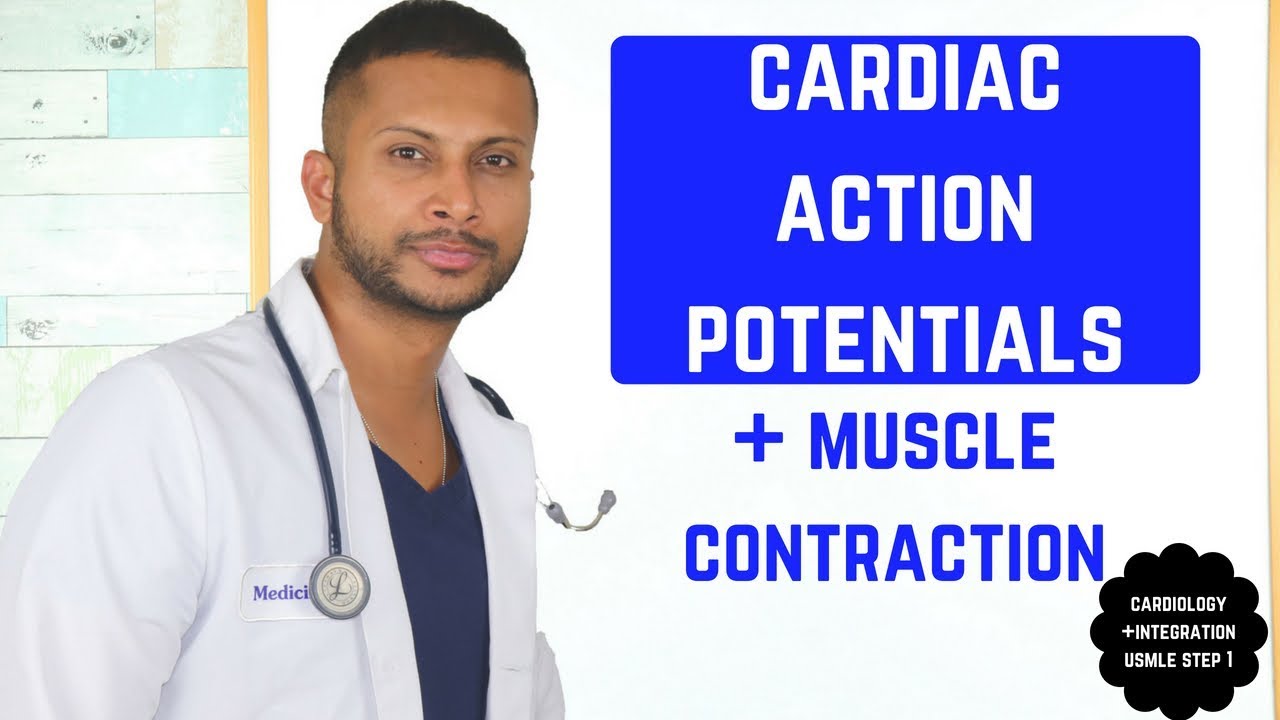 Потенциалы действия в кардиомиоцитах и ​​клетках узлов *USMLE STEP 1*