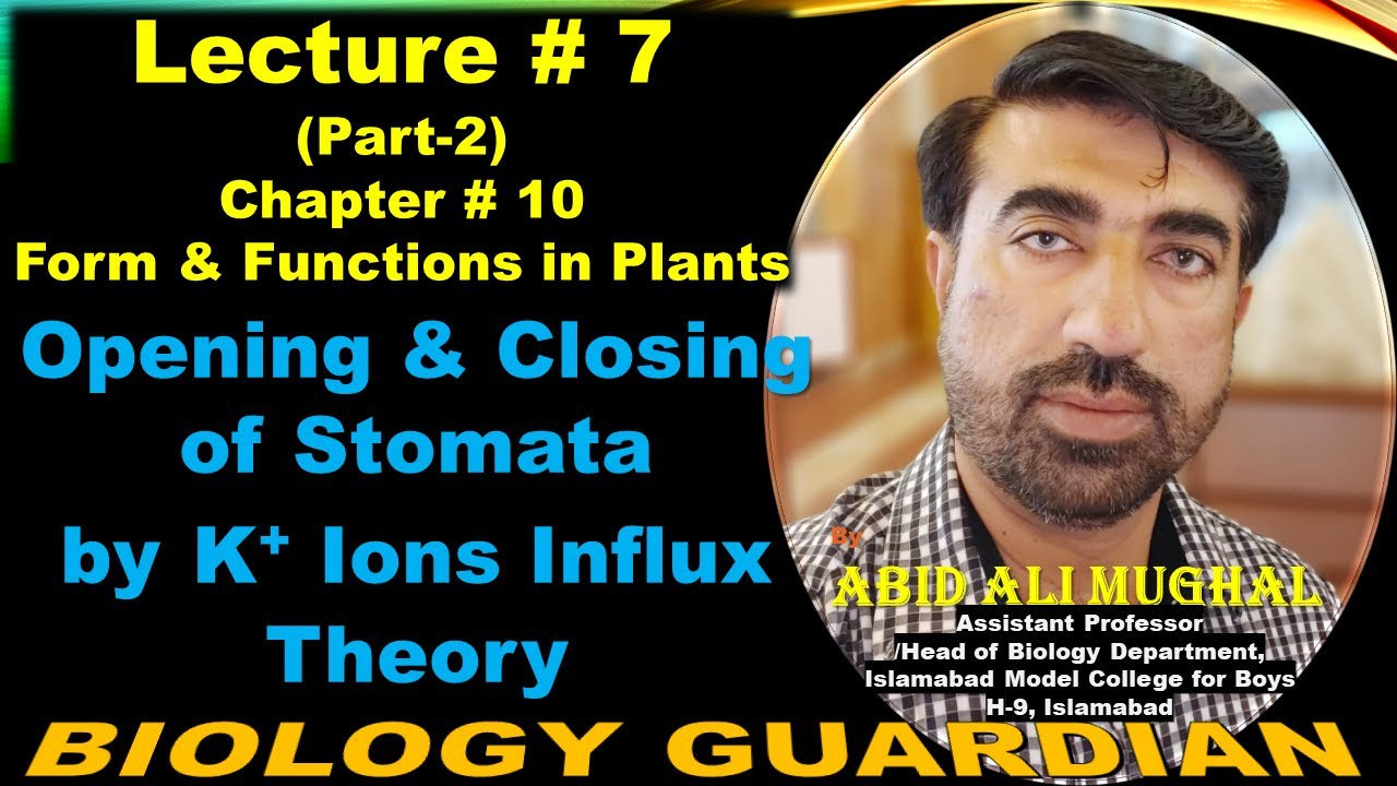 Opening and Closing of Stomata by K+ Ion Influx Theory | Lecture 7 (Part-2) Ch 10 NBF Biology-11