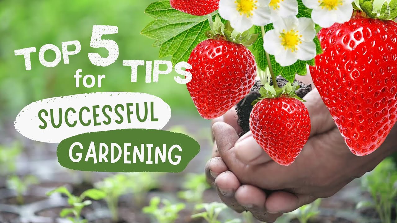 DAILY PODCAST #1: LISTEN ENGLISH GARDEN ! YouTube gardening secret