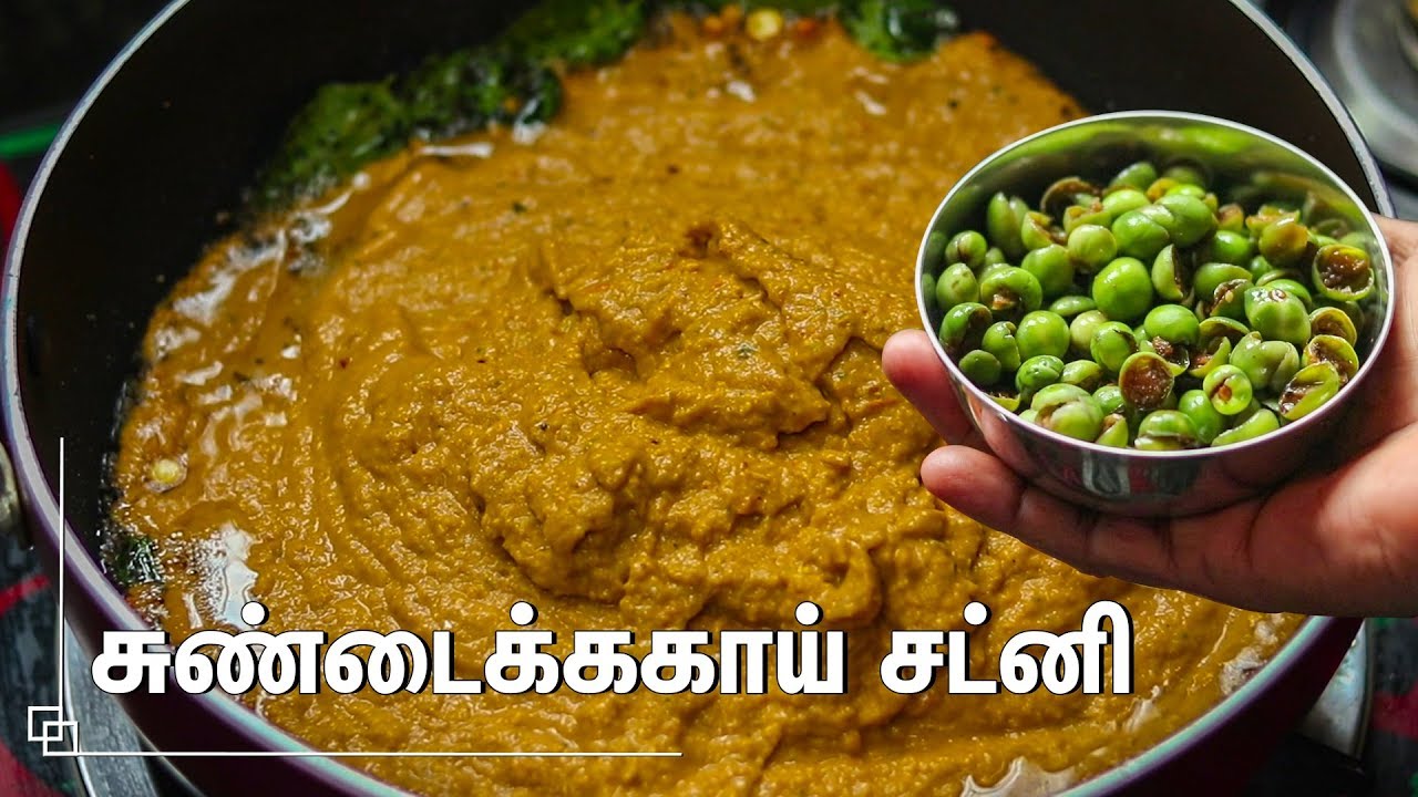 சுவையான சுண்டைக்காய் சட்னி செய்வது எப்படி | Turkey Berry chutney | Chutney recipes in tamil