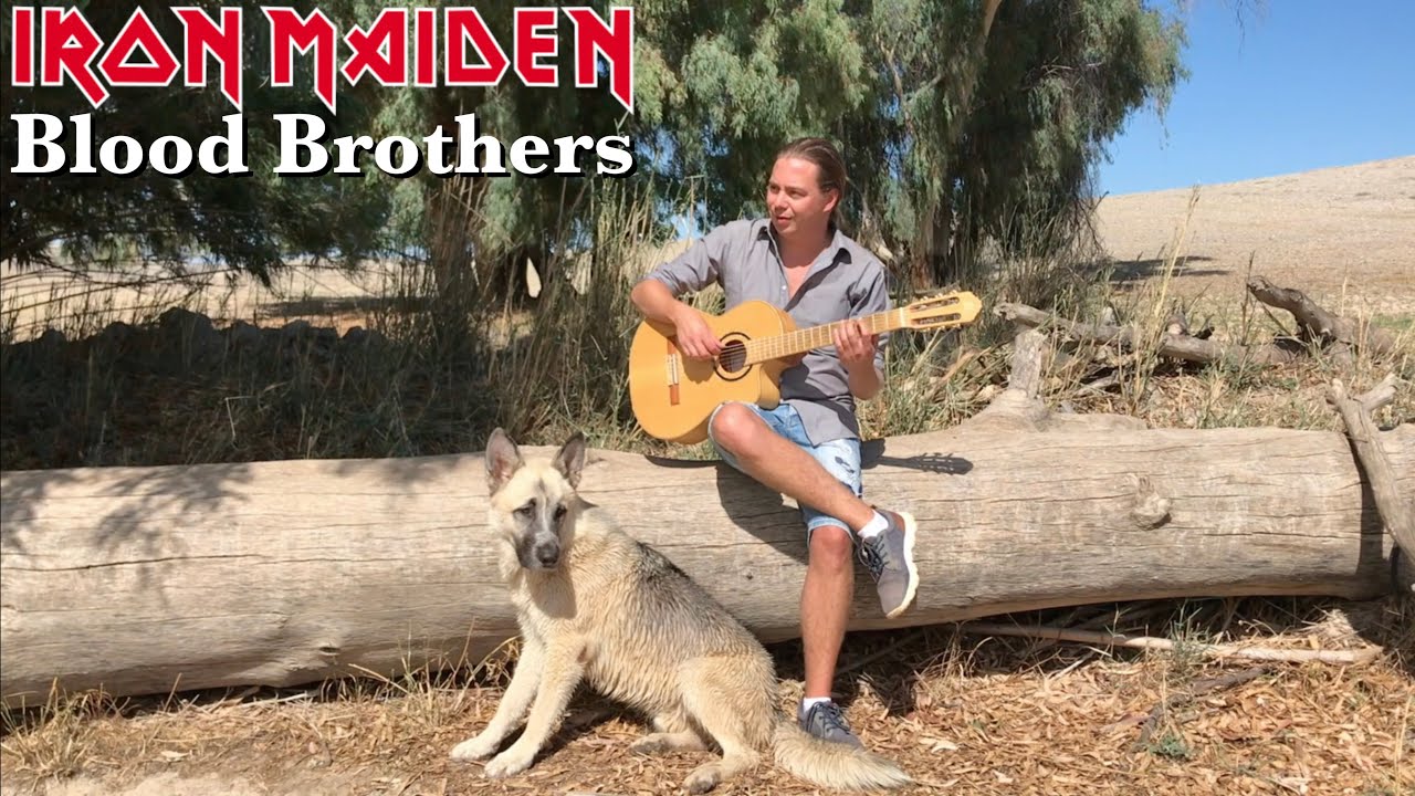 Iron Maiden - Blood Brothers | Acoustic Cover - Violin & Guitar