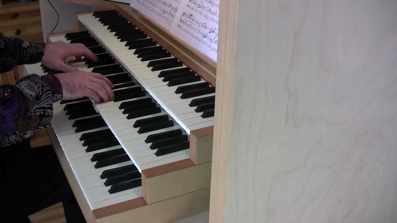 Wagner - Bridal chorus (marcia nuziale, wedding march, organ)