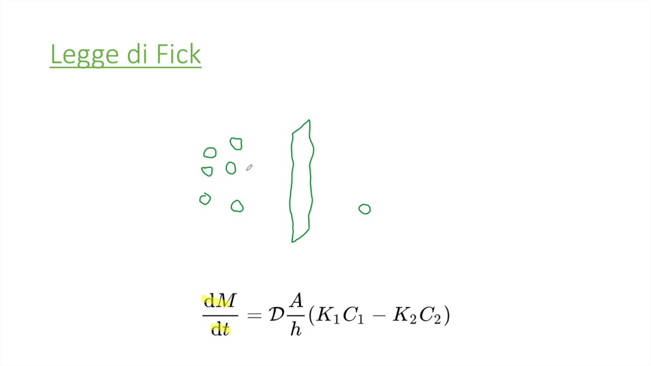 FISIOLOGIA - Diffusione passiva - la Legge di Fick