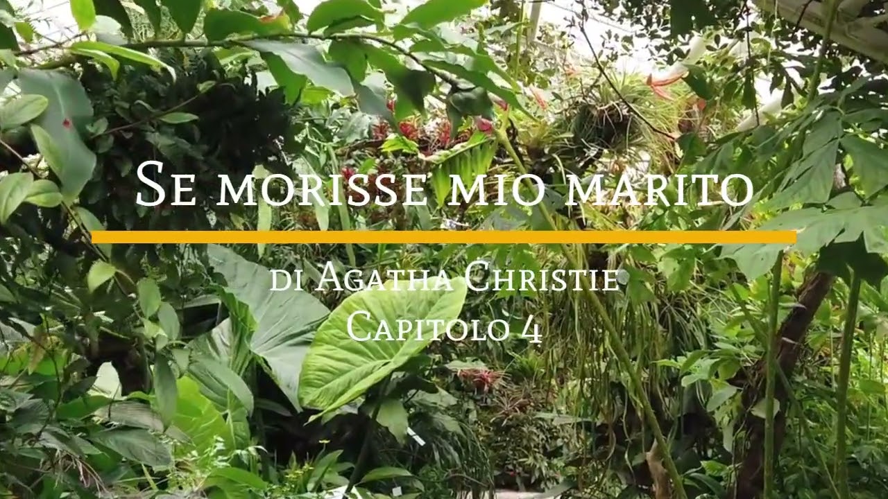 Se morisse mio marito di Agatha Christie - Capitolo 4 di 31