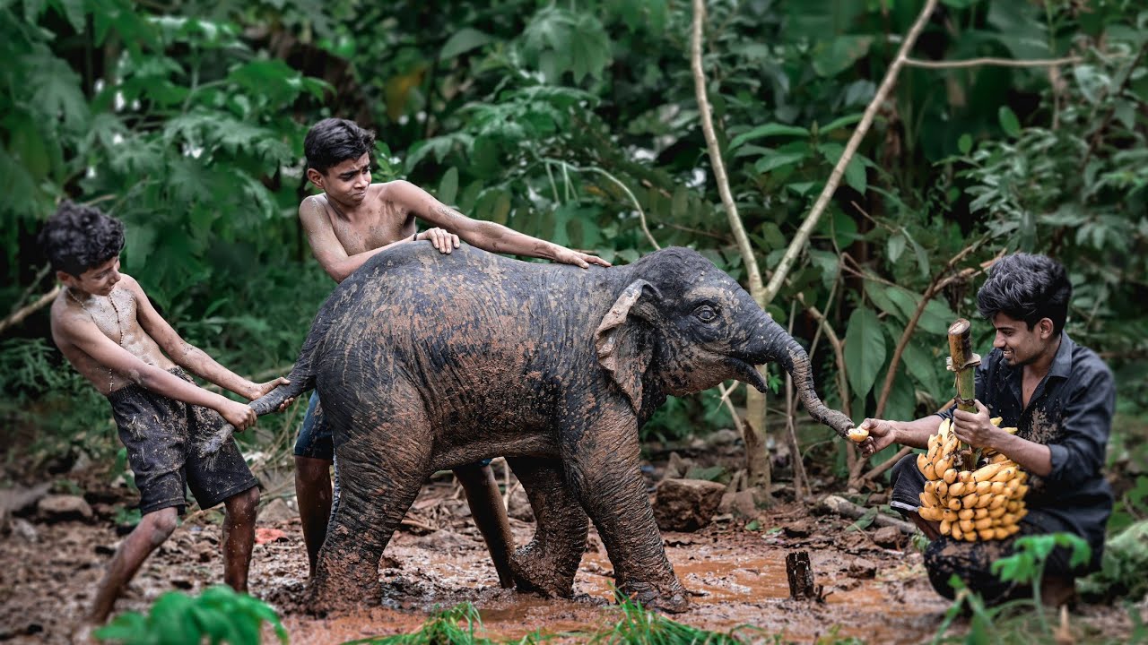 Baby elephant making video🐘 | അരികൊമ്പന്റെ കുട്ടിയെ നമുക്ക് കിട്ടി 🤩| #arikomban @GypsyArt. #art
