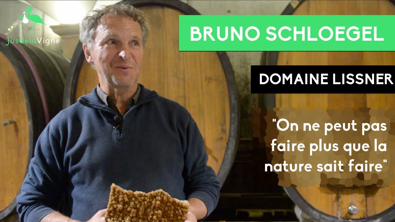 Bruno Schloegel - Domaine Lissner - #2 Dans le Chai