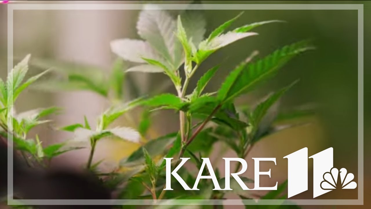White Earth Nation set to open first pot shop off a reservation this weekend
