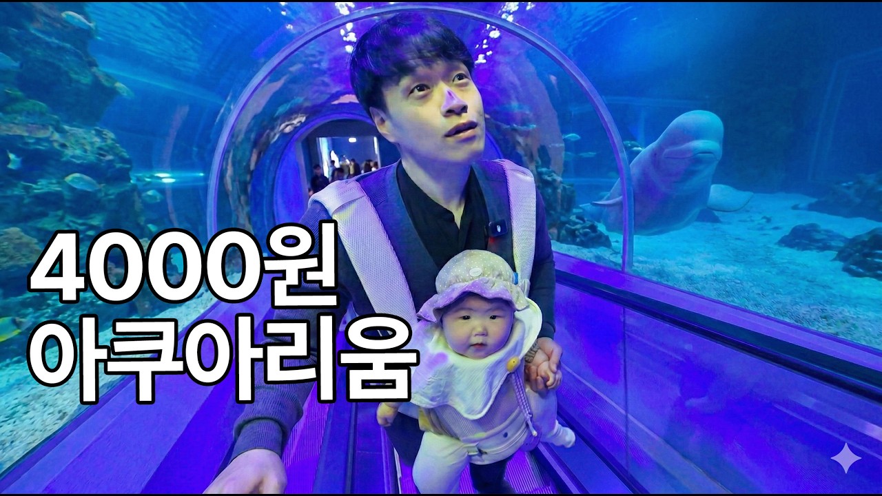 단돈 4000원으로 아쿠아리움 가는 방법! (전국민 다됨)