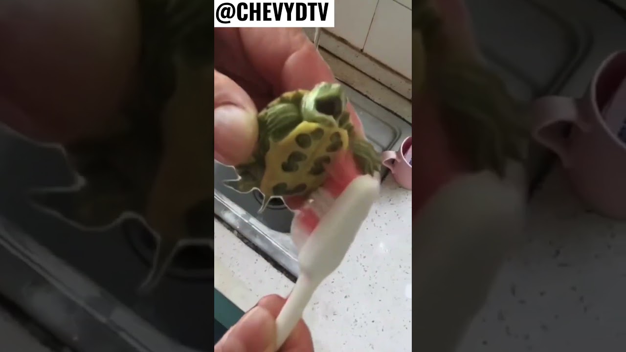 MY BOI PULLED OUT THE BRUSHER INSTEAD OF THE SHREDDER #chevydtv #comedy #animals 😂😂😂😂😂😂😂😩😩
