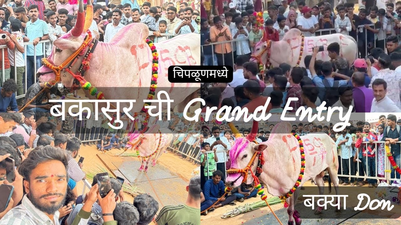 Chiplun : चिपळूण - वाशिष्ठी कृषी महोत्सव 2025 बकासूर ला बघायला जमलीय गर्दी