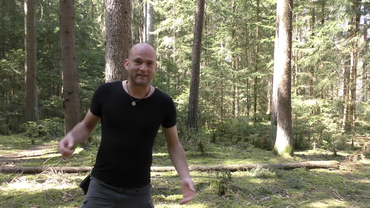 Ludwigˋs endlich bei YouTube/Einladung zum Online Training/Die Challenge 