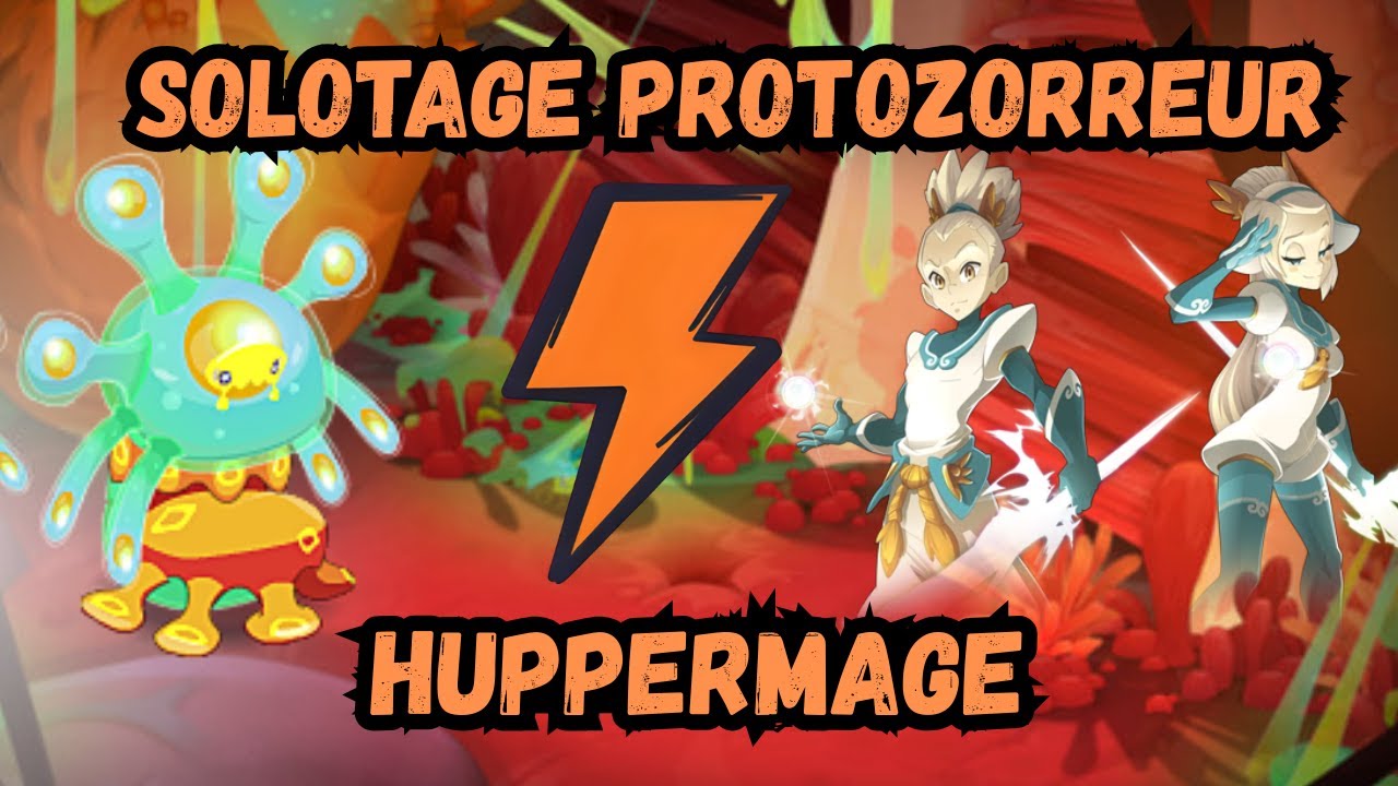 SOLOTAGE PROTOZORREUR - HUPPERMAGE - DOFUS