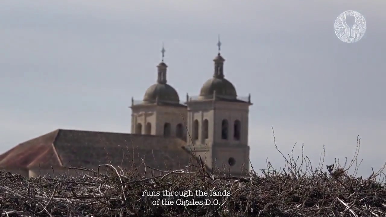 Provincia de Valladolid , Ruta del Vino Cigales