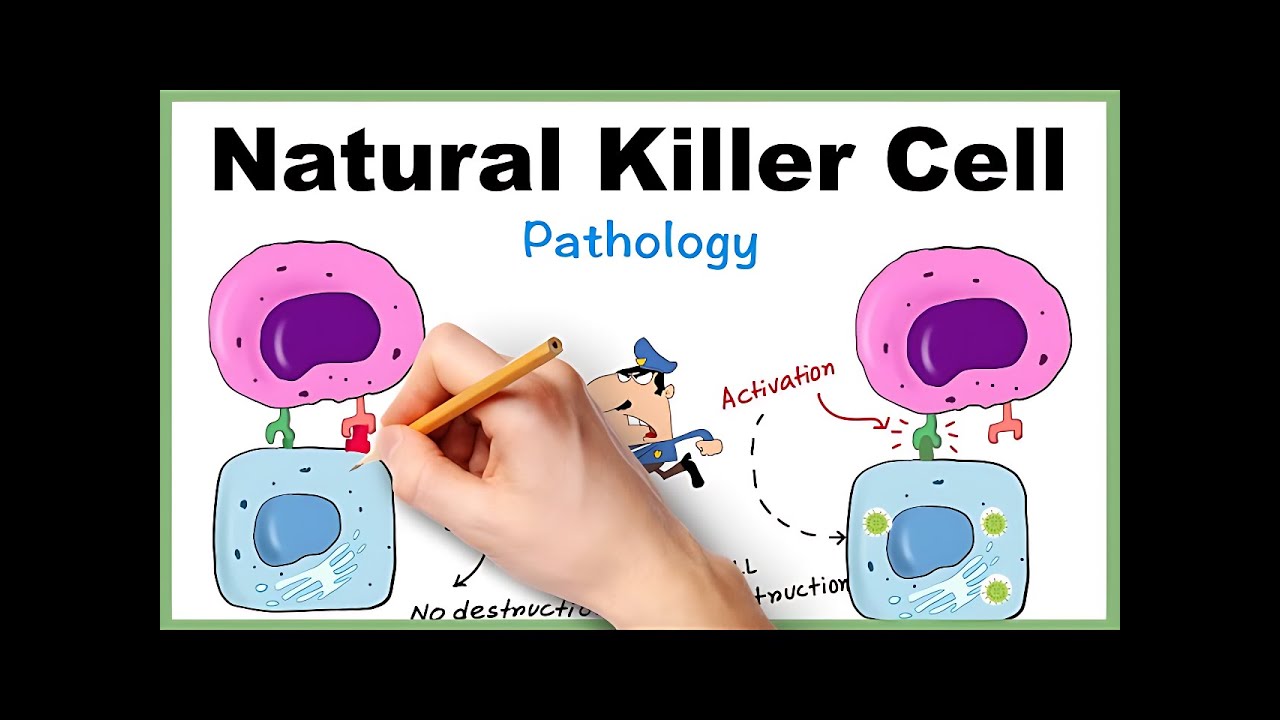 Revolutionizing Cancer Treatment with NK Cell Research I Dr. Hemant Gupta
