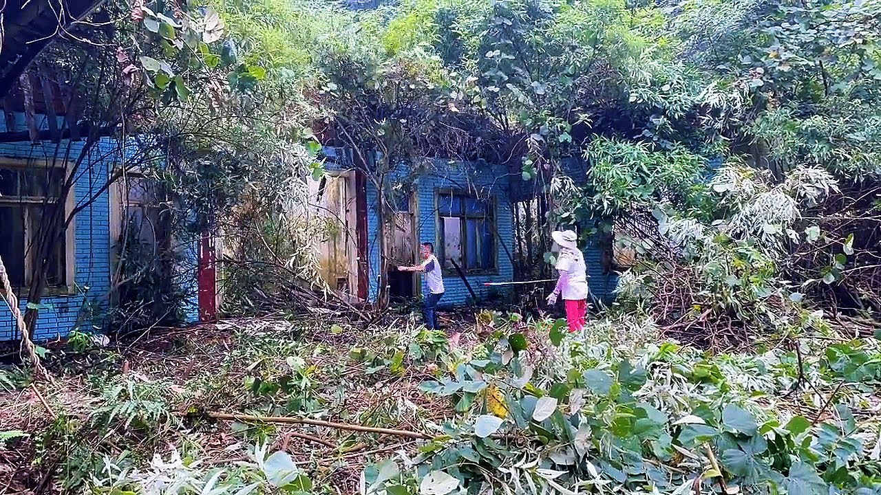 We Bought an Abandoned House Hidden in the Forest – Cleaning and Renovation Start